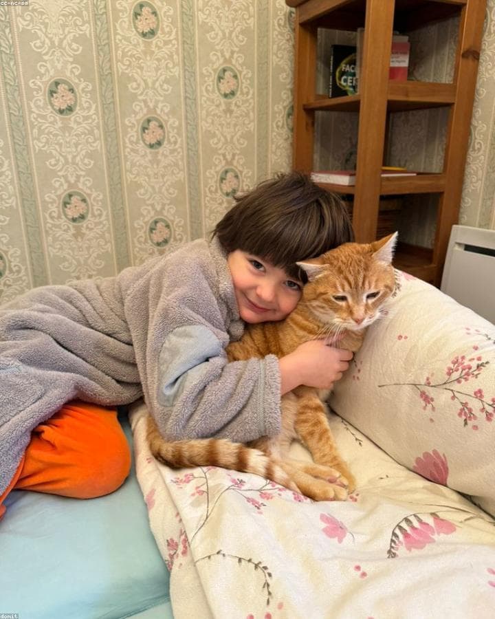 Девочка обнимает рыжего кота